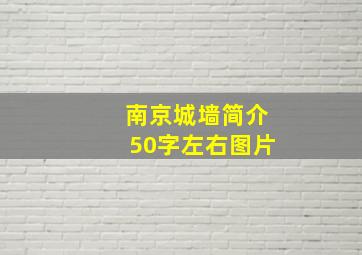 南京城墙简介50字左右图片