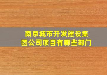 南京城市开发建设集团公司项目有哪些部门