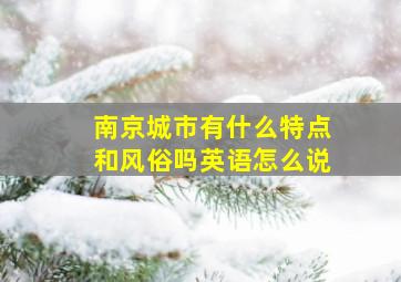 南京城市有什么特点和风俗吗英语怎么说