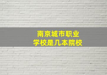 南京城市职业学校是几本院校