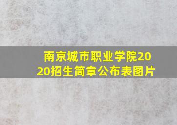 南京城市职业学院2020招生简章公布表图片