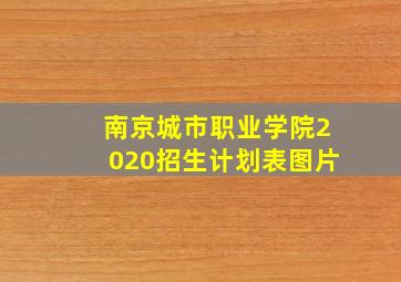 南京城市职业学院2020招生计划表图片