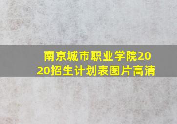 南京城市职业学院2020招生计划表图片高清