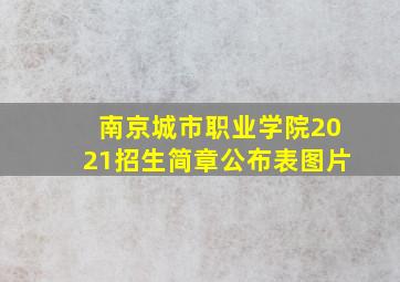 南京城市职业学院2021招生简章公布表图片