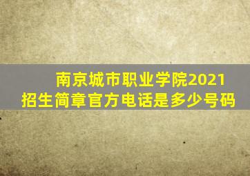 南京城市职业学院2021招生简章官方电话是多少号码