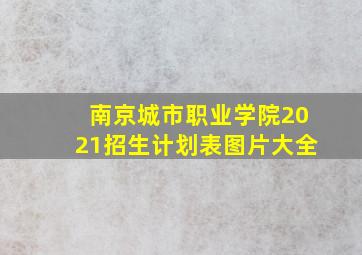 南京城市职业学院2021招生计划表图片大全