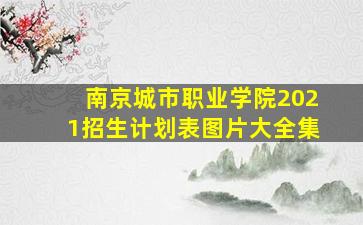 南京城市职业学院2021招生计划表图片大全集