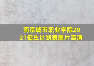 南京城市职业学院2021招生计划表图片高清