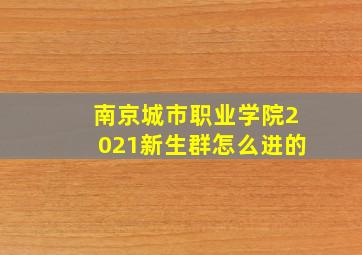 南京城市职业学院2021新生群怎么进的