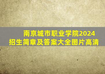 南京城市职业学院2024招生简章及答案大全图片高清