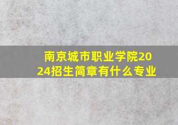 南京城市职业学院2024招生简章有什么专业