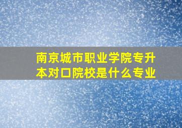 南京城市职业学院专升本对口院校是什么专业