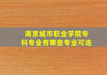 南京城市职业学院专科专业有哪些专业可选