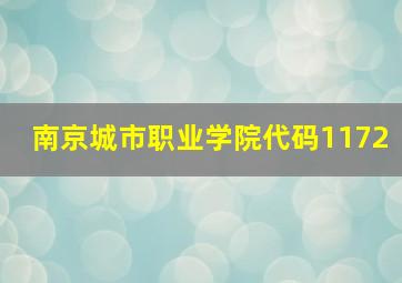 南京城市职业学院代码1172