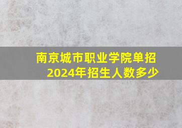 南京城市职业学院单招2024年招生人数多少