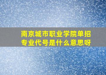 南京城市职业学院单招专业代号是什么意思呀