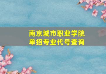 南京城市职业学院单招专业代号查询