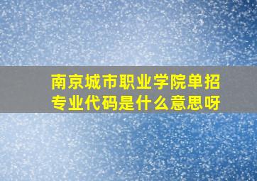 南京城市职业学院单招专业代码是什么意思呀