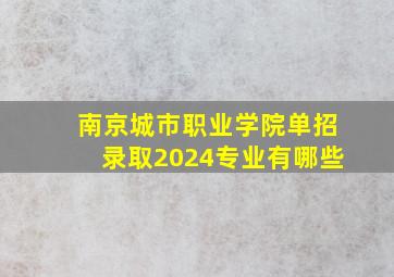 南京城市职业学院单招录取2024专业有哪些