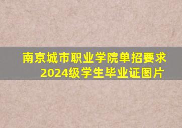 南京城市职业学院单招要求2024级学生毕业证图片