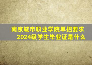 南京城市职业学院单招要求2024级学生毕业证是什么