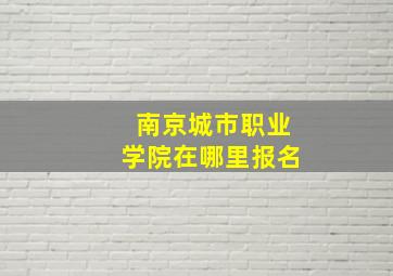 南京城市职业学院在哪里报名