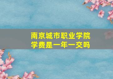 南京城市职业学院学费是一年一交吗