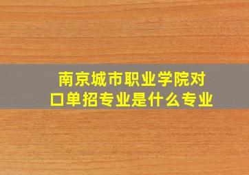 南京城市职业学院对口单招专业是什么专业