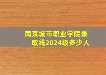 南京城市职业学院录取线2024级多少人