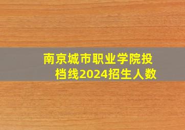 南京城市职业学院投档线2024招生人数