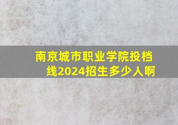 南京城市职业学院投档线2024招生多少人啊