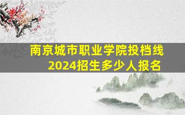 南京城市职业学院投档线2024招生多少人报名