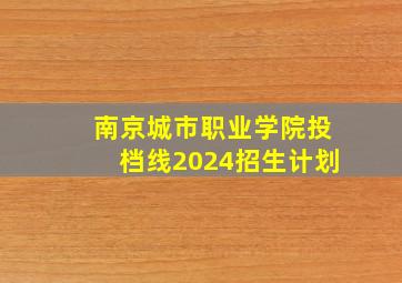 南京城市职业学院投档线2024招生计划