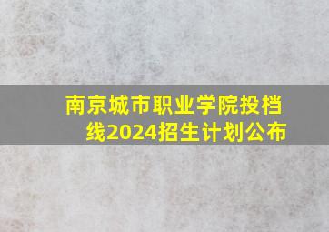 南京城市职业学院投档线2024招生计划公布