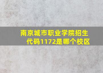 南京城市职业学院招生代码1172是哪个校区