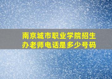 南京城市职业学院招生办老师电话是多少号码