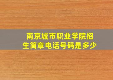 南京城市职业学院招生简章电话号码是多少