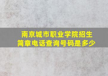 南京城市职业学院招生简章电话查询号码是多少