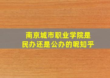 南京城市职业学院是民办还是公办的呢知乎