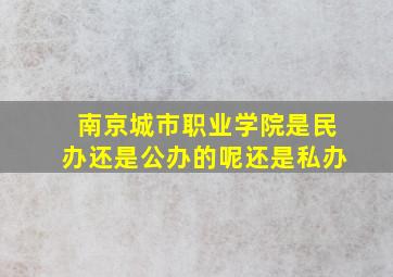 南京城市职业学院是民办还是公办的呢还是私办