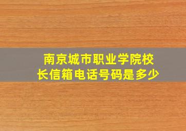 南京城市职业学院校长信箱电话号码是多少