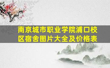 南京城市职业学院浦口校区宿舍图片大全及价格表