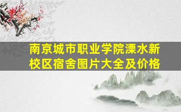 南京城市职业学院溧水新校区宿舍图片大全及价格