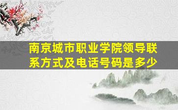 南京城市职业学院领导联系方式及电话号码是多少