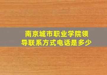 南京城市职业学院领导联系方式电话是多少