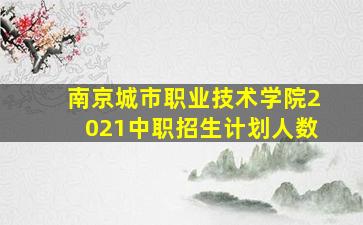 南京城市职业技术学院2021中职招生计划人数