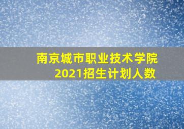 南京城市职业技术学院2021招生计划人数