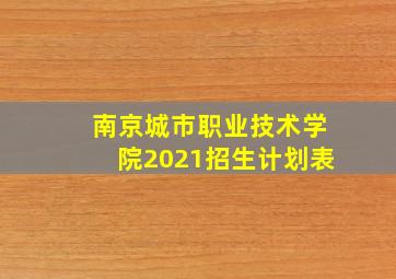 南京城市职业技术学院2021招生计划表