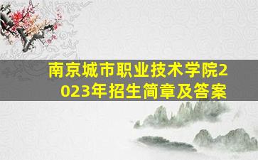 南京城市职业技术学院2023年招生简章及答案