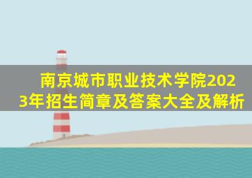 南京城市职业技术学院2023年招生简章及答案大全及解析